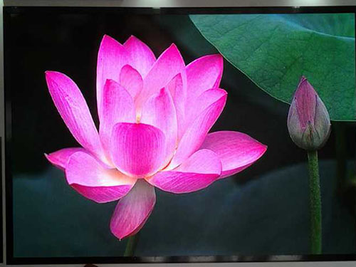 車(chē)站南路強(qiáng)力巨彩直營(yíng)中心 (7)